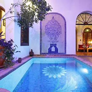 Daria & Marrakesh